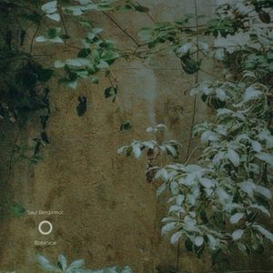 农村妇女野外做爰
